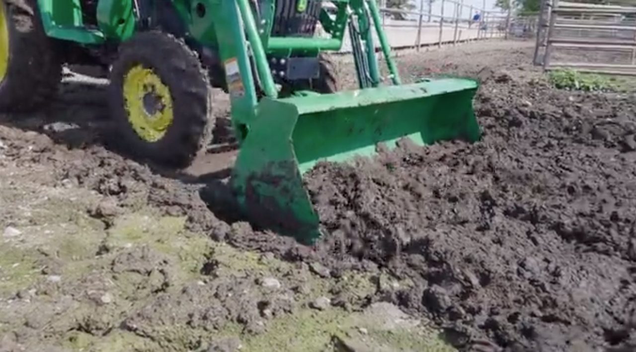 clean-up-manure-in-a-pen-or-pasture-frontier-tips-notebook